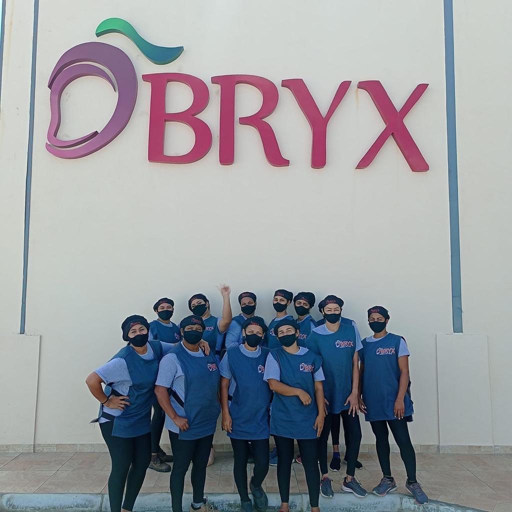BRYX Brasil Importação e Exportação